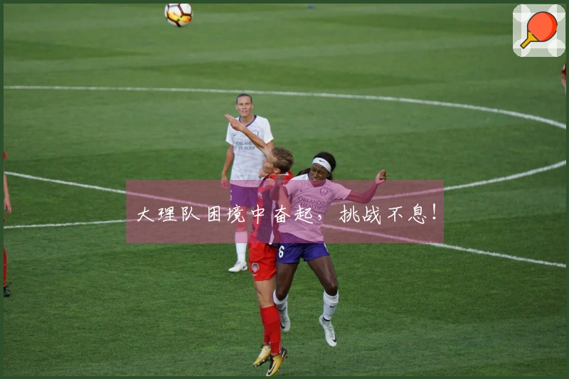 大理队困境中奋起，挑战不息！