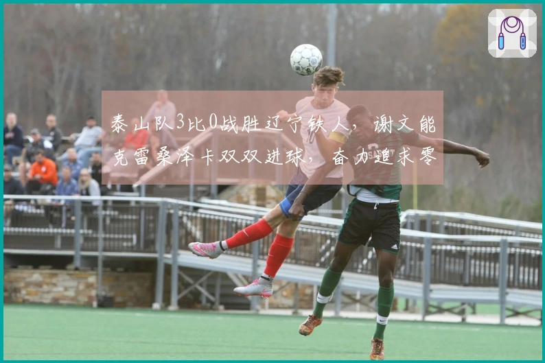 泰山队3比0战胜辽宁铁人，谢文能克雷桑泽卡双双进球，奋力追求零失分