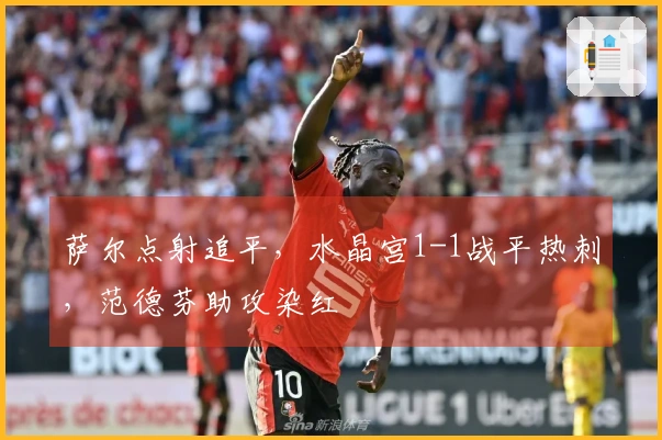 萨尔点射追平，水晶宫1-1战平热刺，范德芬助攻染红